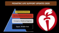 Pediatric life support 2020.pdf